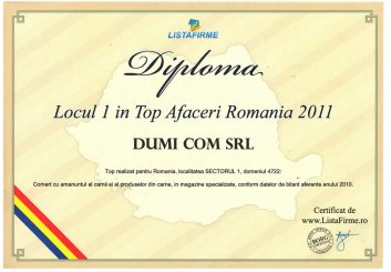 DIPLOMA-2011